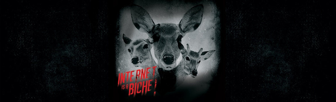 Internet is a biche !
