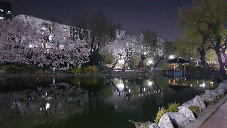 Semestre International en Corée du Sud x Inha University
